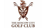 Regular Cup III