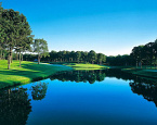 С 23 февраля по 1 марта в зимнем гольф центре Family Golf пройдет VIII этап Кубка Корейского Дома