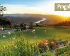 Progolftour предлагает гольф-путешествия в Южную Африку, с игрой на лучших гольф-полях, сафари и посещением винных хозяйств 