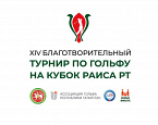 XIV Благотворительный турнир на кубок Раиса РТ стартует 24 августа