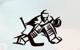 Skolkovo Hockey Cup